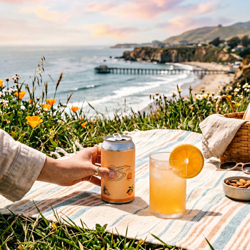 Avila Orange Cream Soda — Valencia Orange & Vanilla, 12-Pack 12 oz Cans